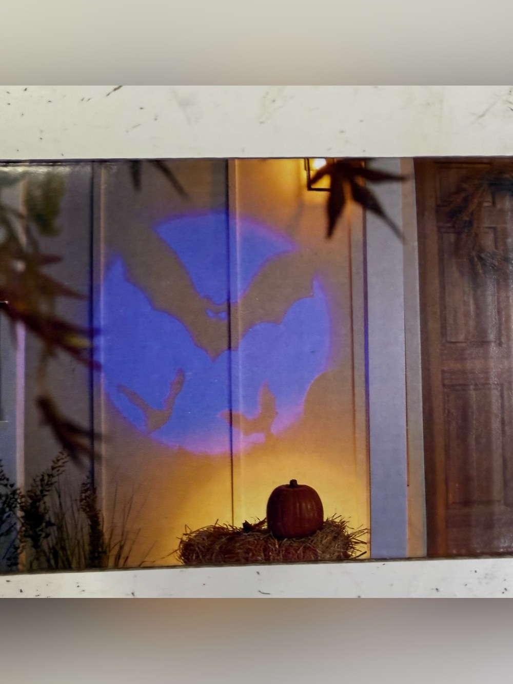 Holiday Home LED Projector Stakes Halloween Spooky Bat  18 In Timer Function New